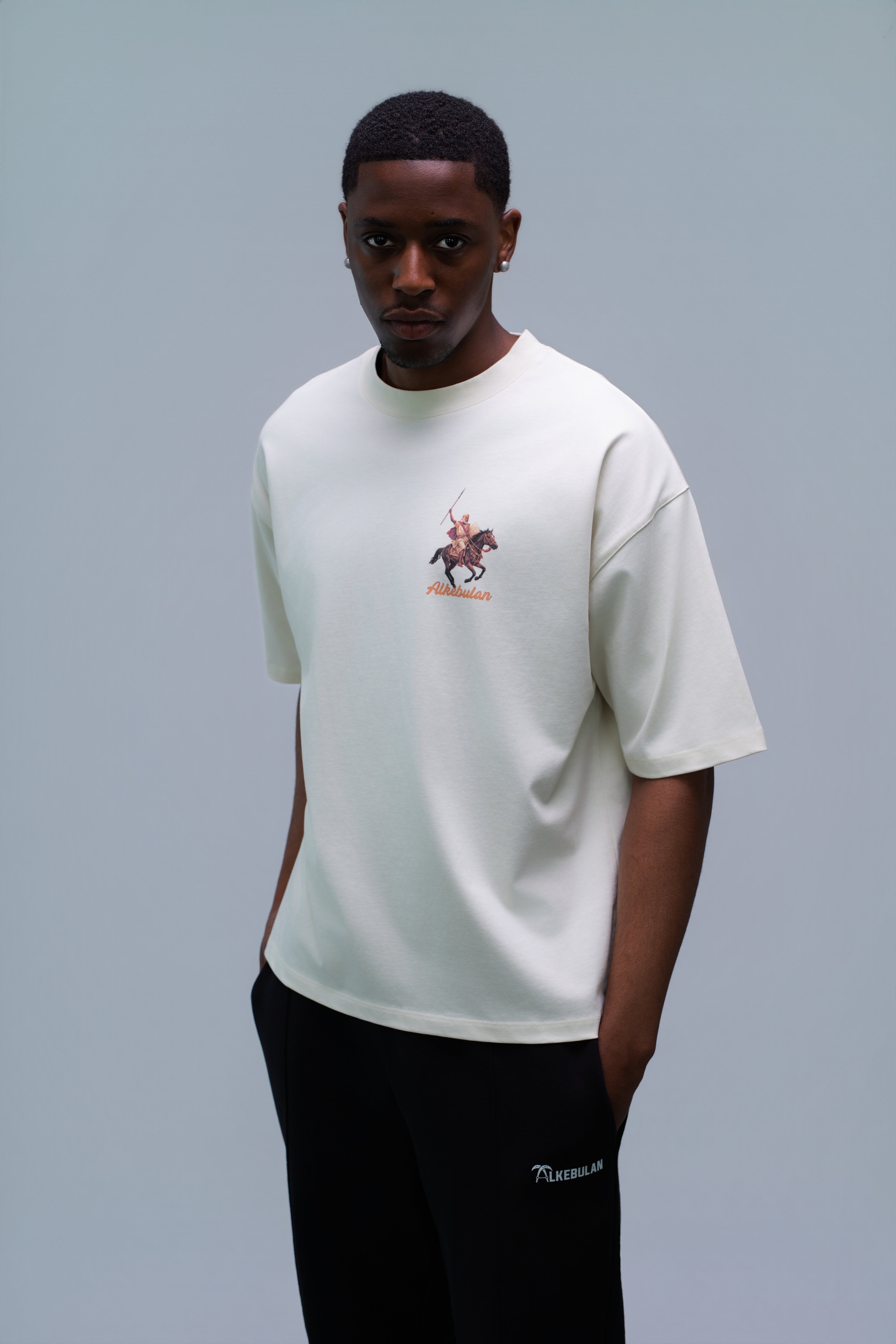 Lion of Mali T-Shirt