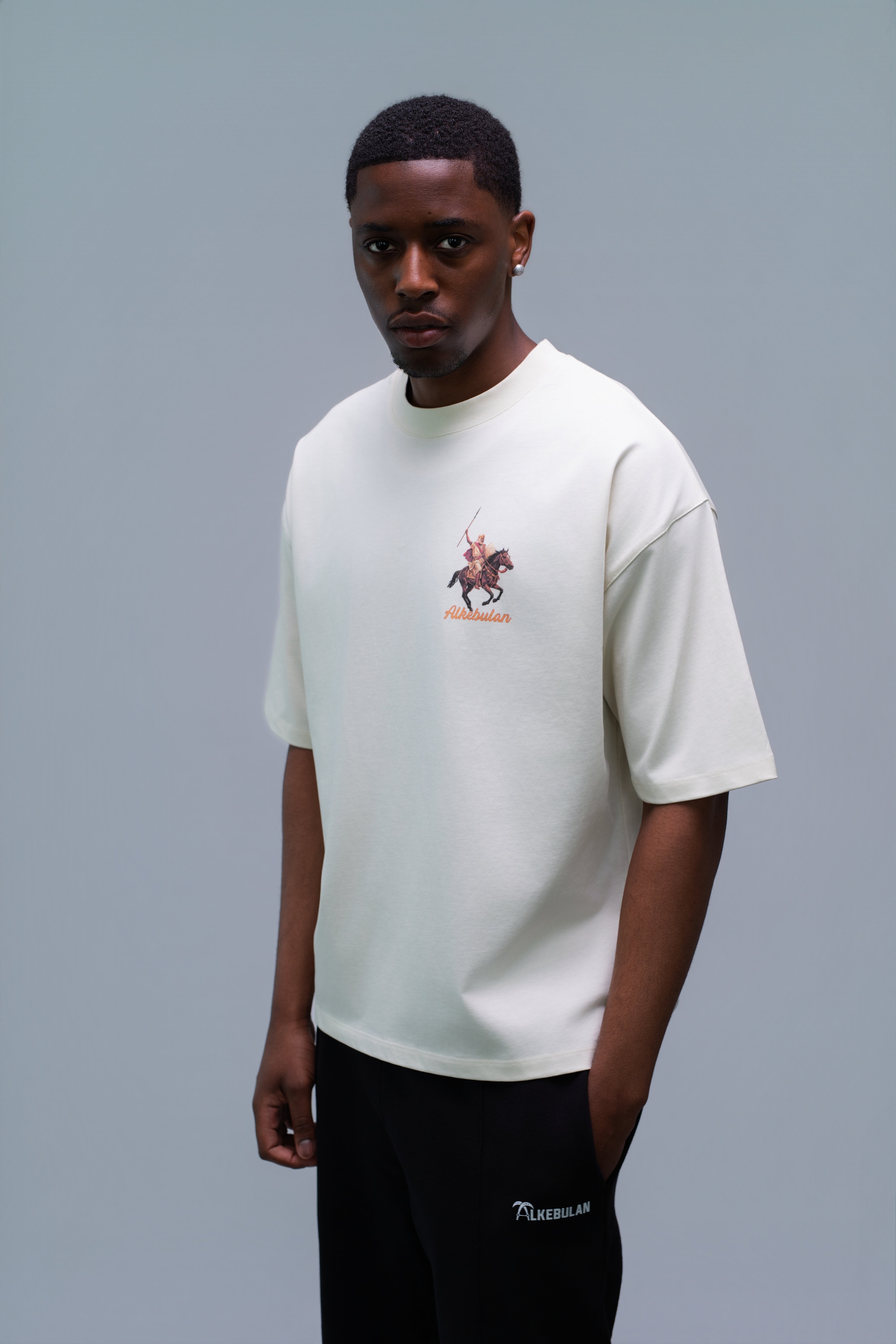Lion of Mali T-Shirt