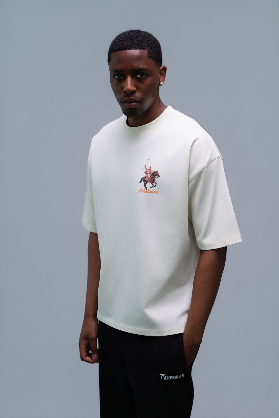 Lion of Mali T-Shirt