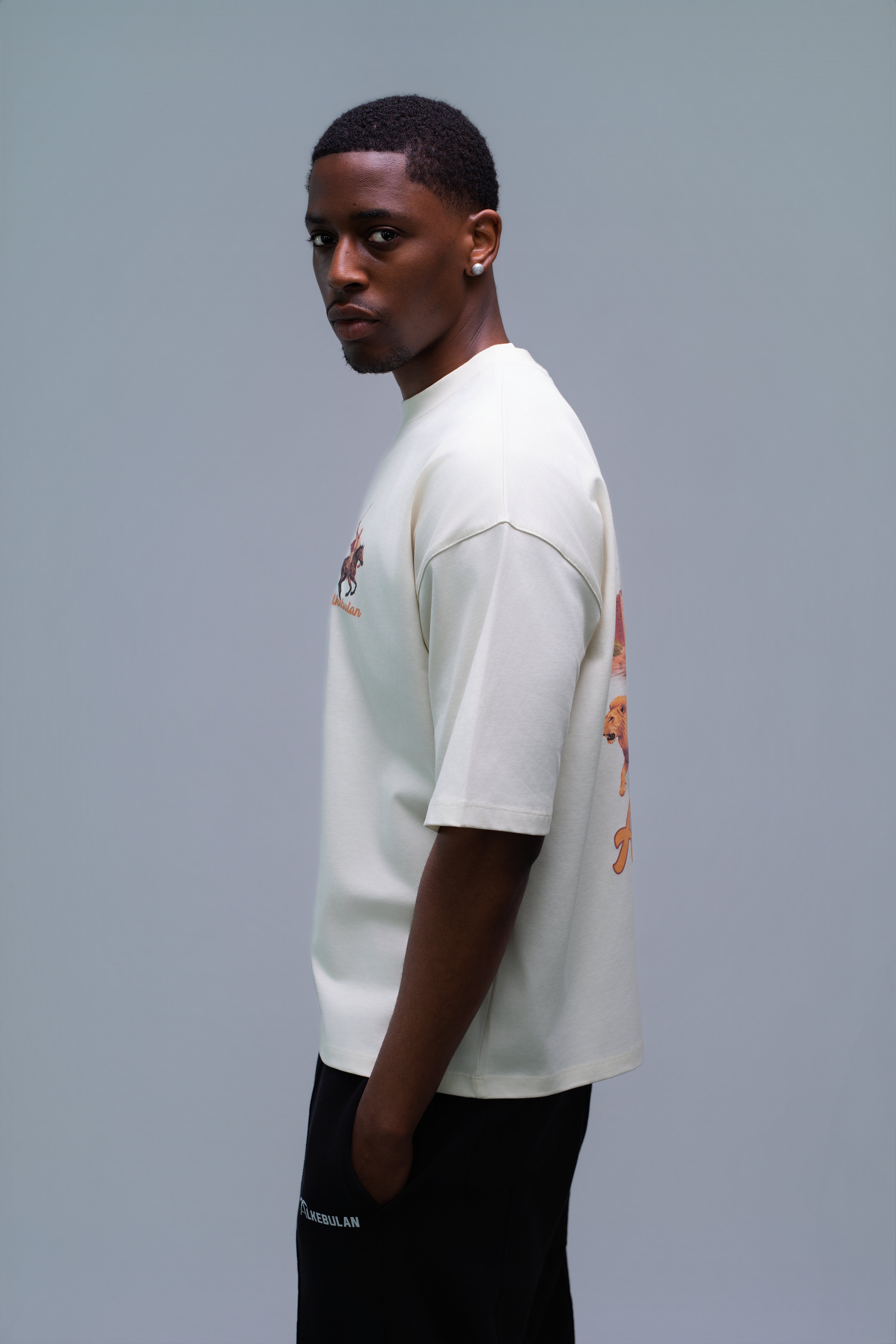 Lion of Mali T-Shirt
